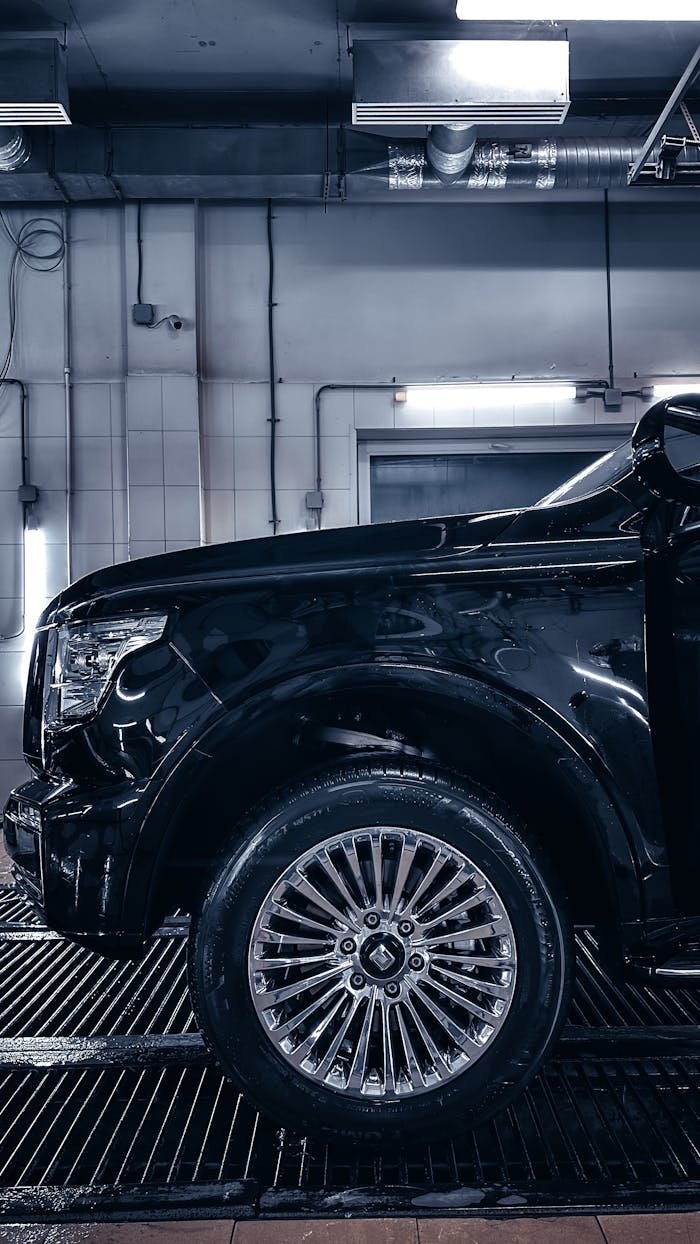 Pexels Photo 29504454