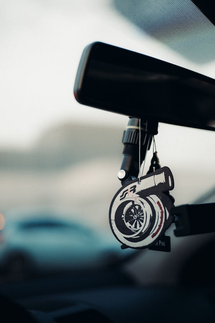 Pexels Photo 31352892